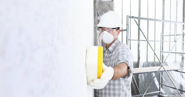 Best Environmental Consulting for Mold Prevention  in Liberty Hill, TX