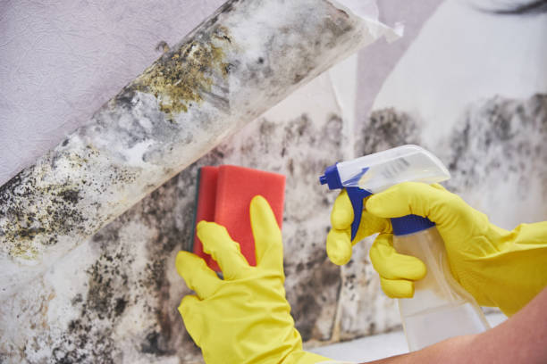 Best Forensic Mold Investigation  in Liberty Hill, TX