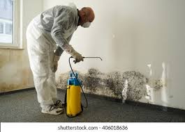 Trusted Liberty Hill, TX Mold Inspection Experts